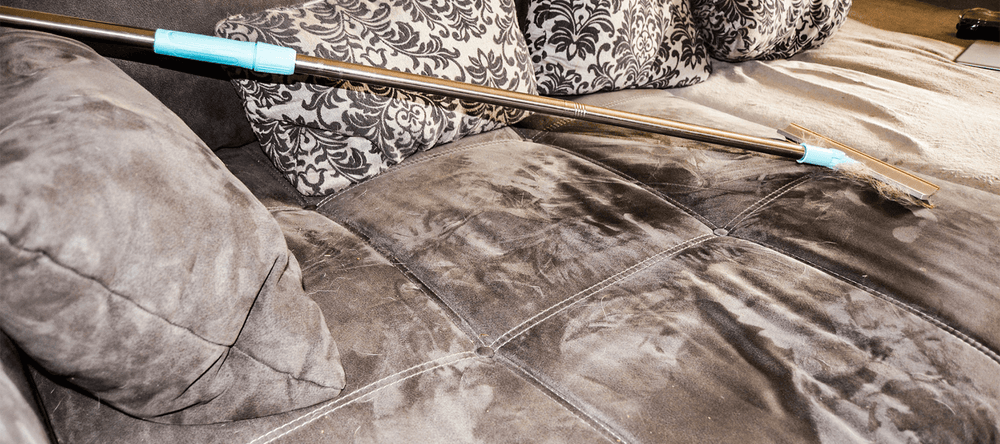 Zialo Offizielle Webseite